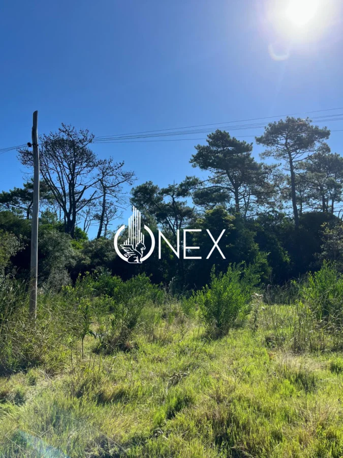 Terreno en Ocean Park, propiedad 228870 -Imagen 9