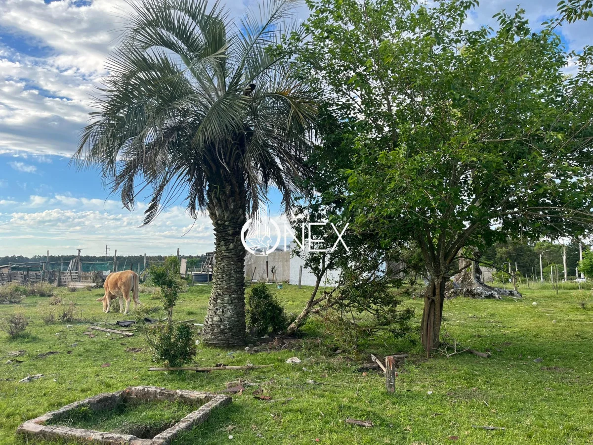 Terreno en Tacuarembó, propiedad 234621 -Imagen 3