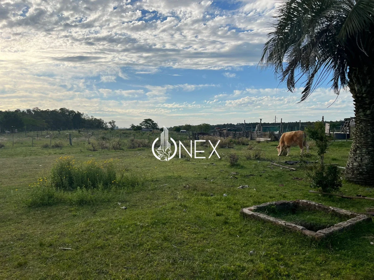 Terreno en Tacuarembó, propiedad 234621 -Imagen 4