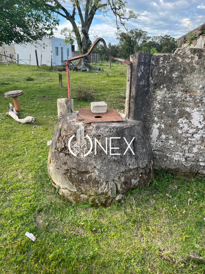 Terreno en Tacuarembó, propiedad 234621 -Imagen 5