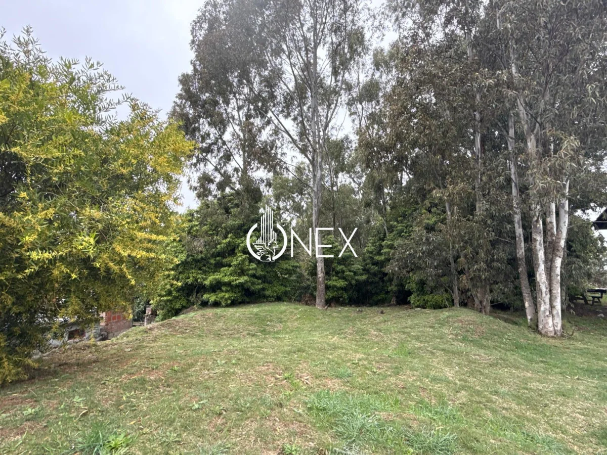 Terreno en Atlántida, propiedad 242643 -Imagen 3