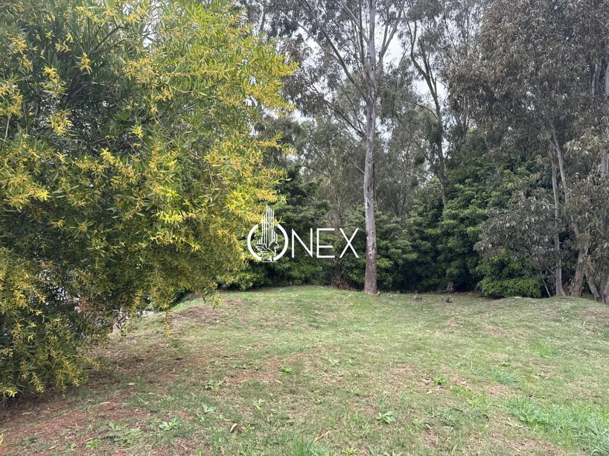 Terreno en Atlántida, propiedad 242643 -Imagen 7