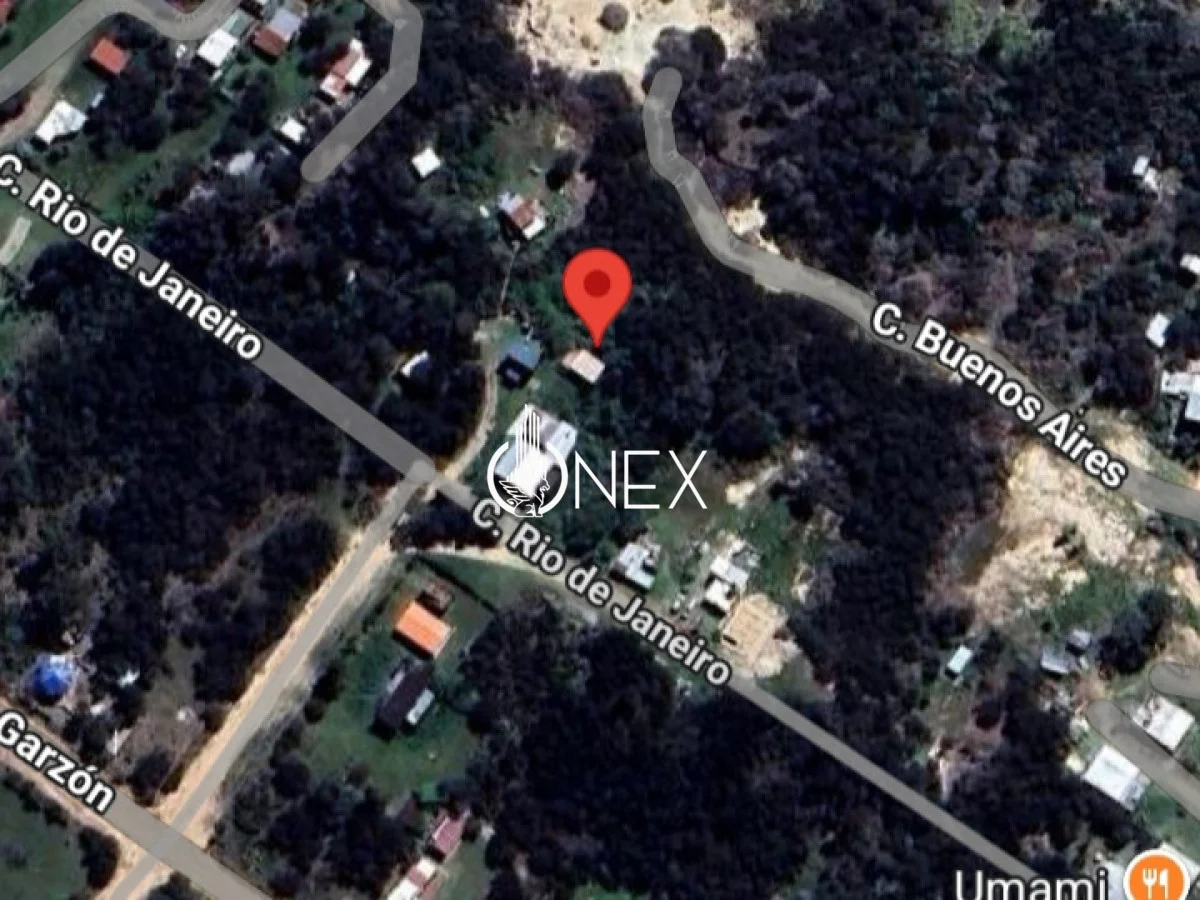 Terreno en Punta Rubia, propiedad 246816 -Imagen 2