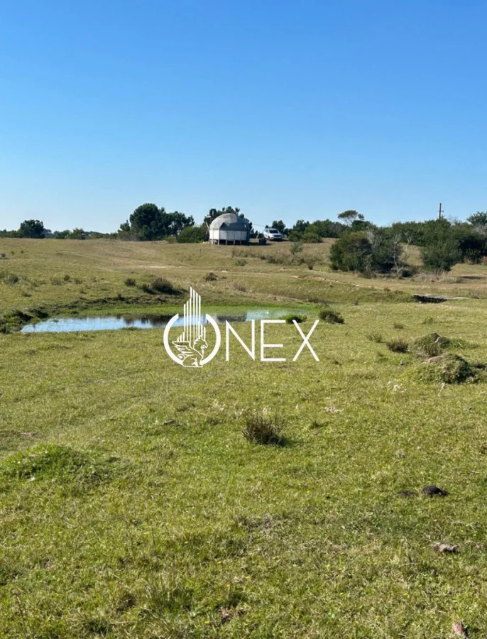 Casa en Oceanía del Polonio, propiedad 247048 -Imagen 6