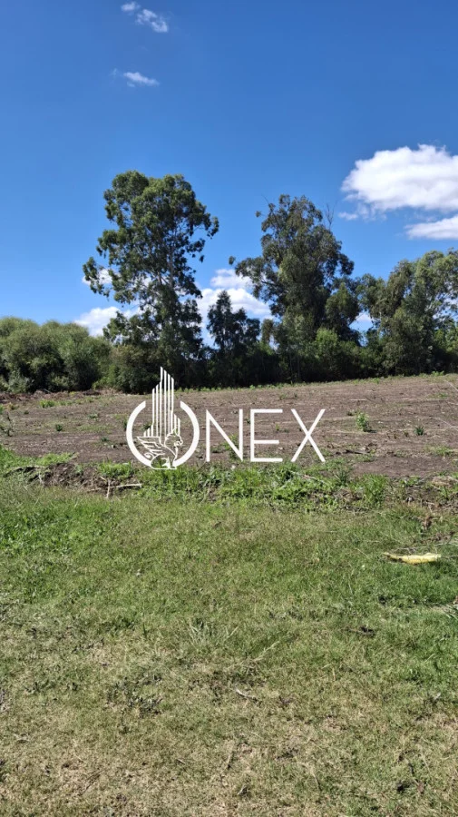 Terreno en Rocha, propiedad 252597 -Imagen 5