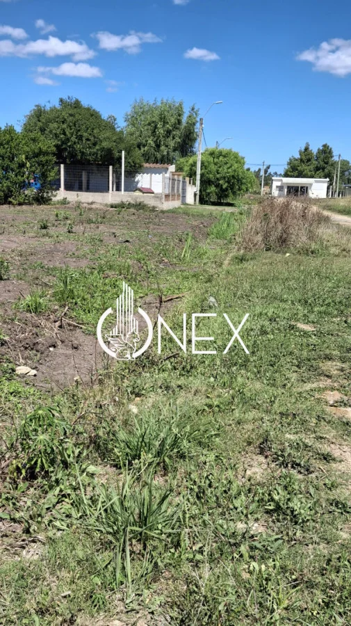 Terreno en Rocha, propiedad 252597 -Imagen 6