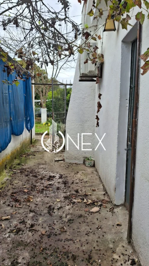 Casa en San Luis, propiedad 254510 -Imagen 20