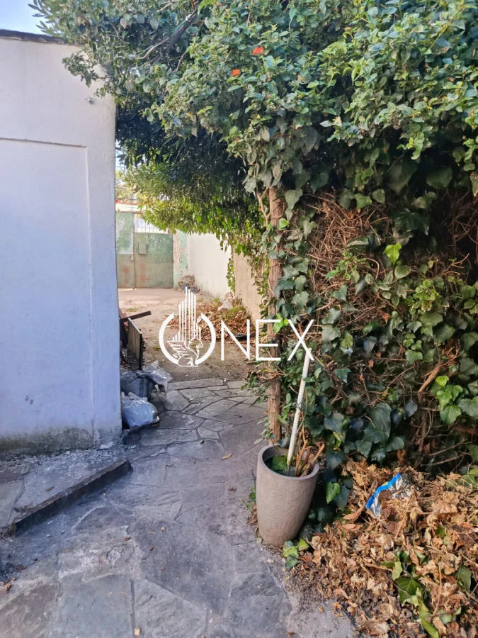 Casa en Villa Española, propiedad 256338 -Imagen 3
