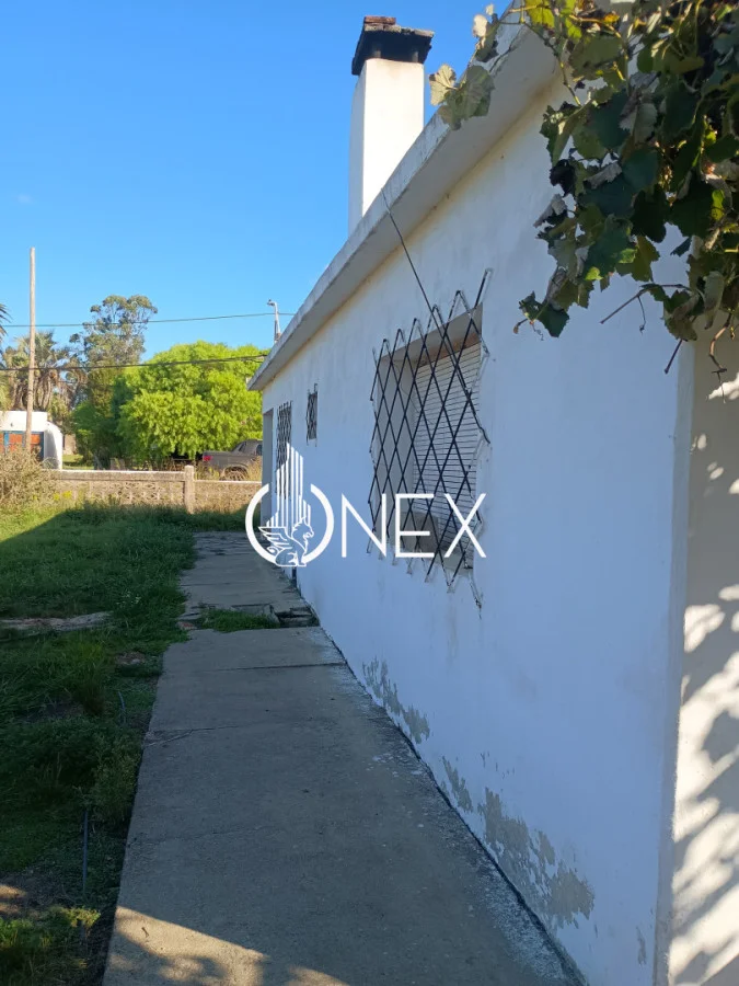 Chacra en Rocha, propiedad 256750 -Imagen 19