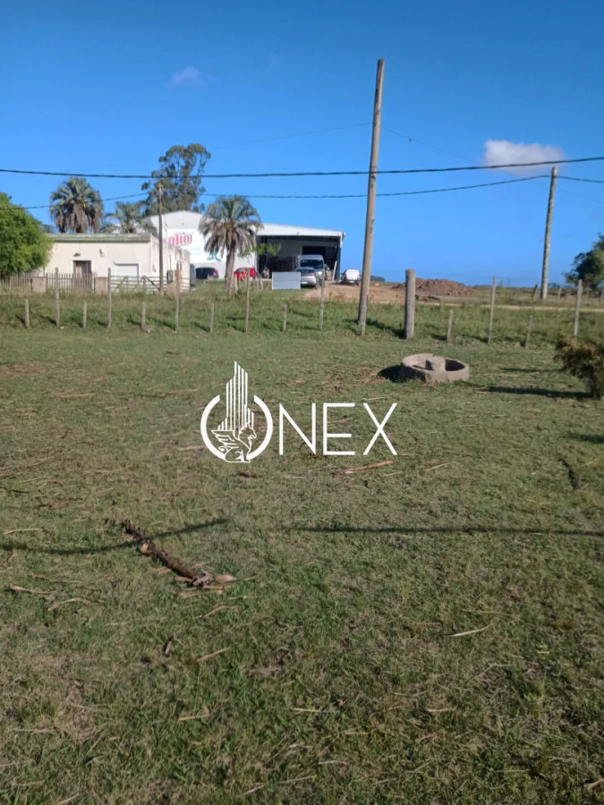 Chacra en Rocha, propiedad 256750 -Imagen 3