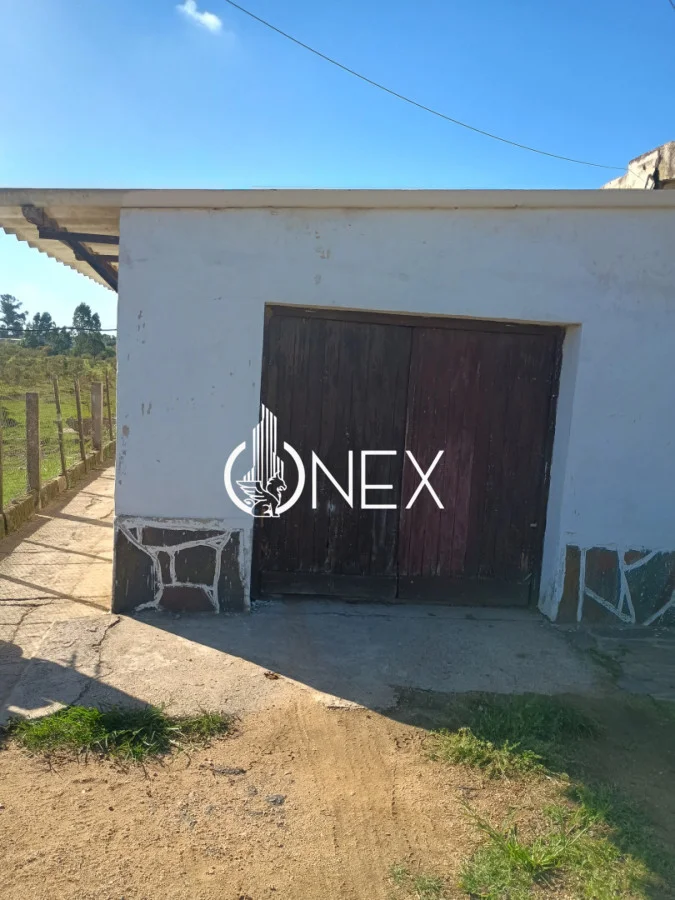 Chacra en Rocha, propiedad 256750 -Imagen 4
