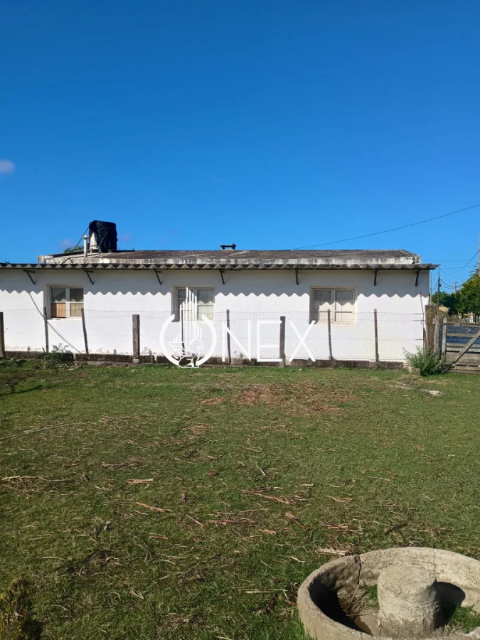 Chacra en Rocha, propiedad 256750 -Imagen 5