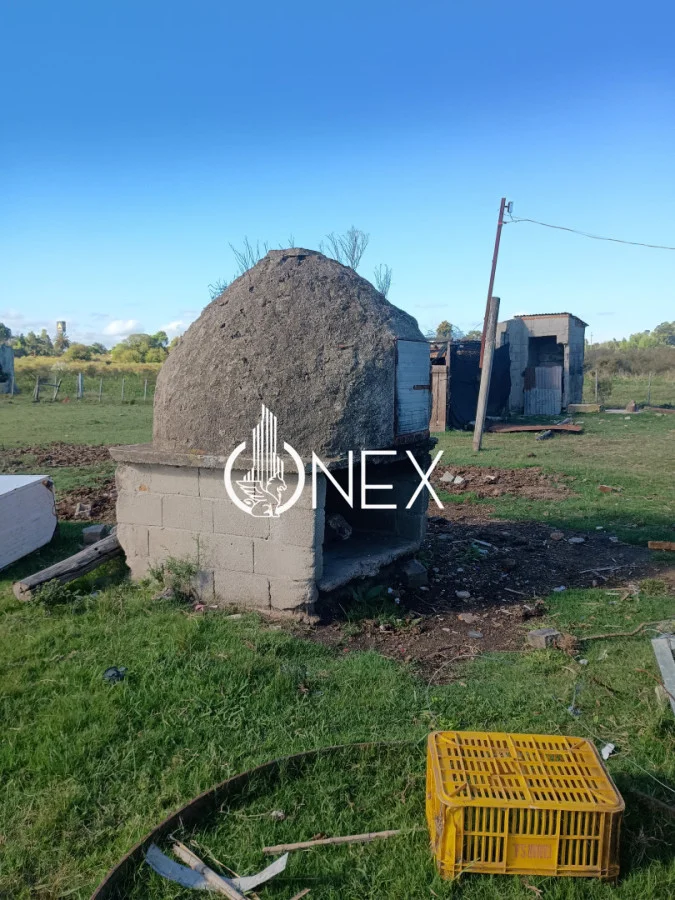 Chacra en Rocha, propiedad 256750 -Imagen 8