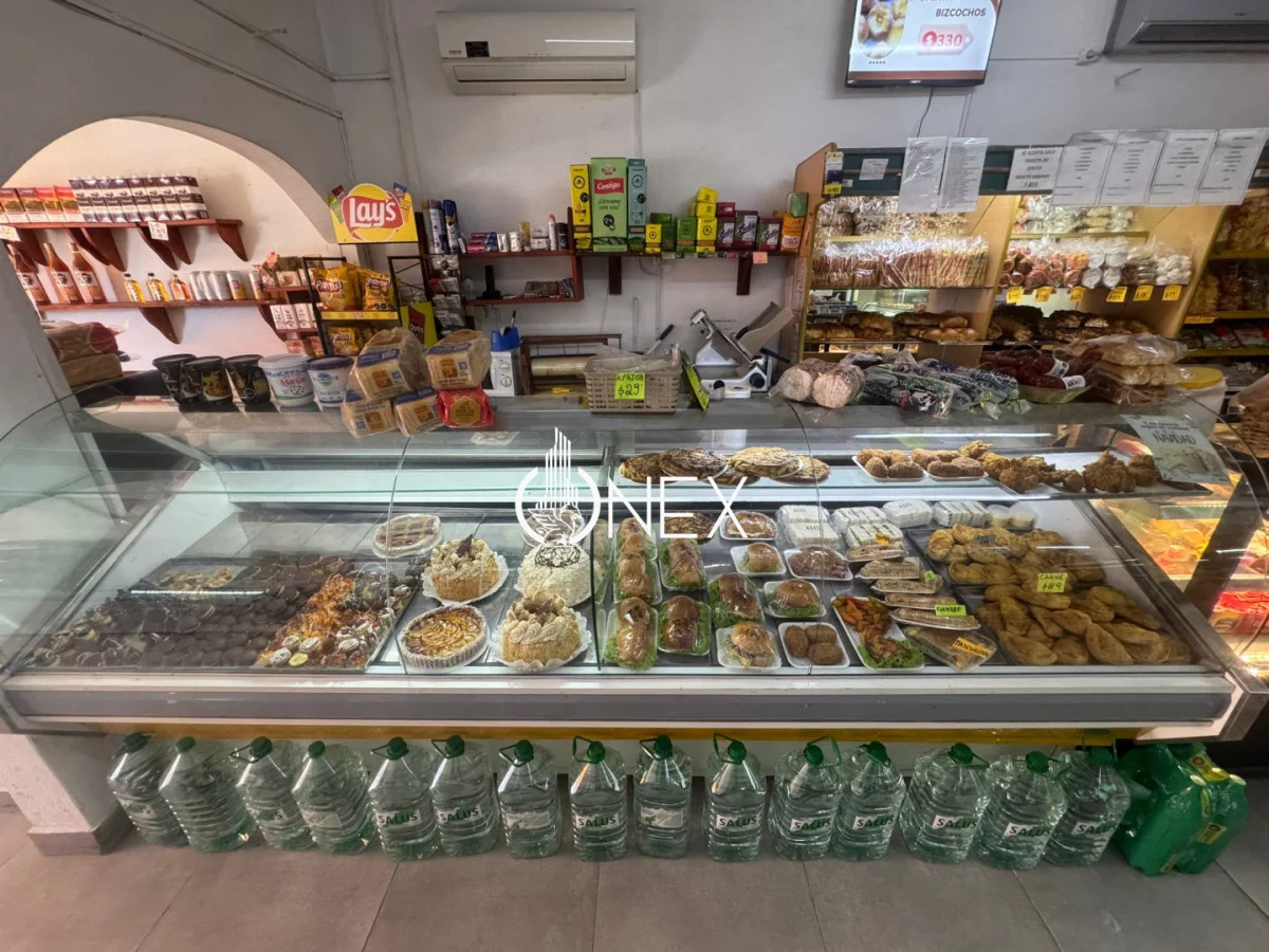 Local en Santa Lucía, propiedad 260880 -Imagen 3