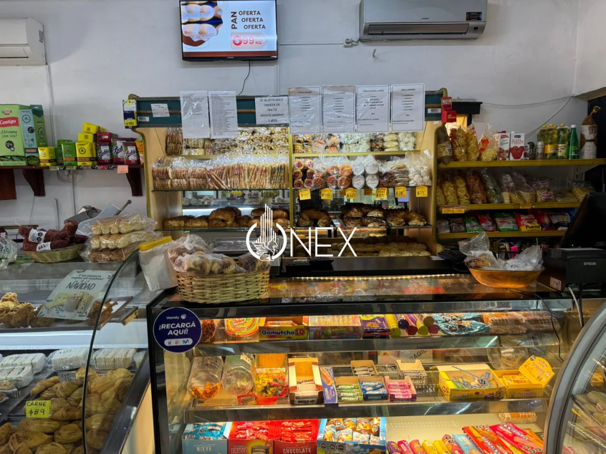 Local en Santa Lucía, propiedad 260880 -Imagen 4