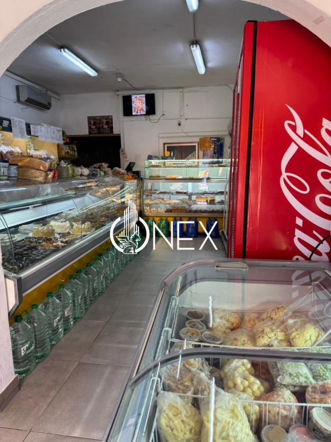 Local en Santa Lucía, propiedad 260880 -Imagen 7