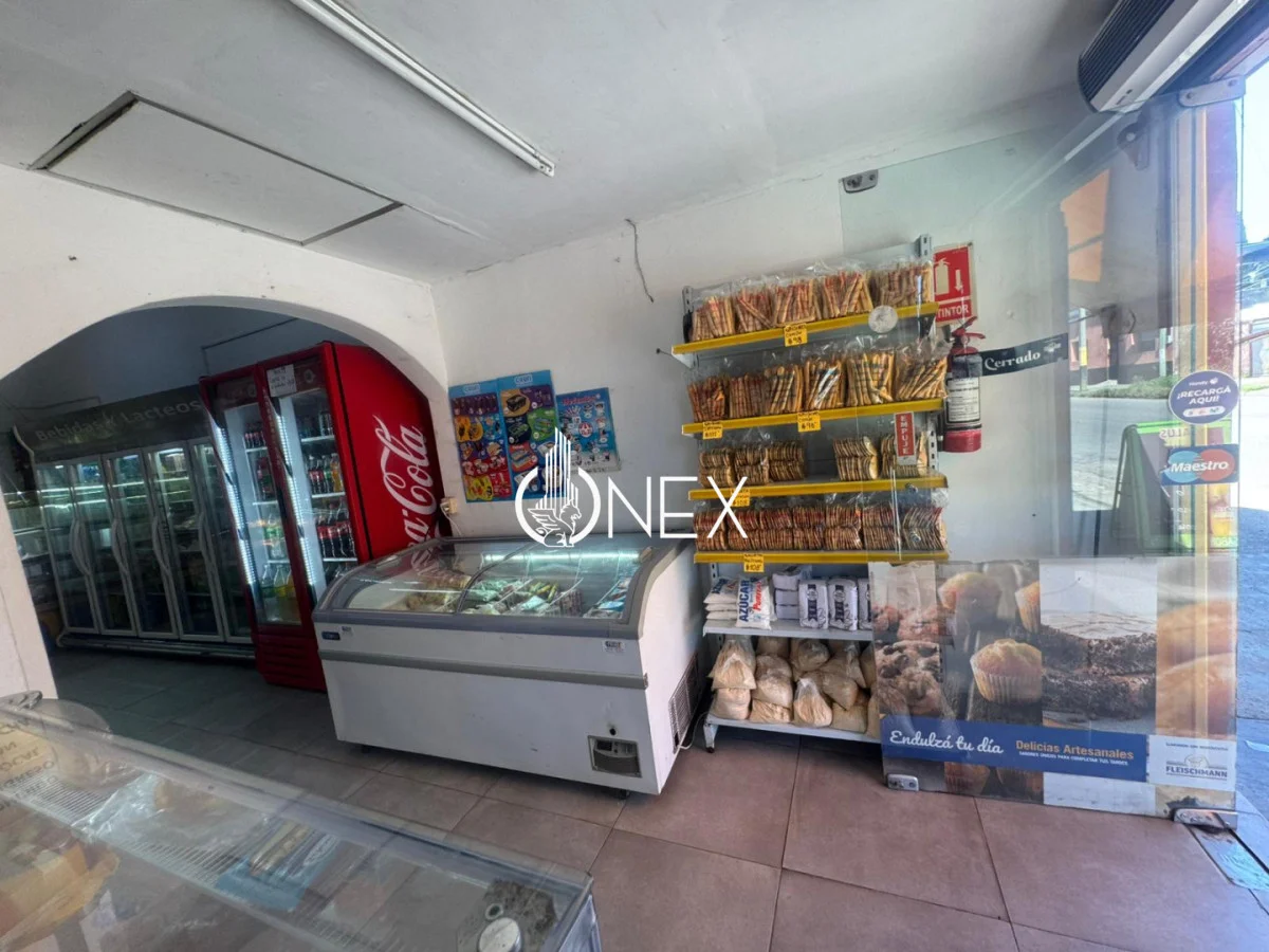 Local en Santa Lucía, propiedad 260880 -Imagen 8