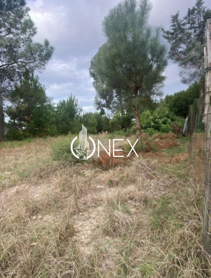 Terreno en El Pinar, propiedad 264421 -Imagen 2