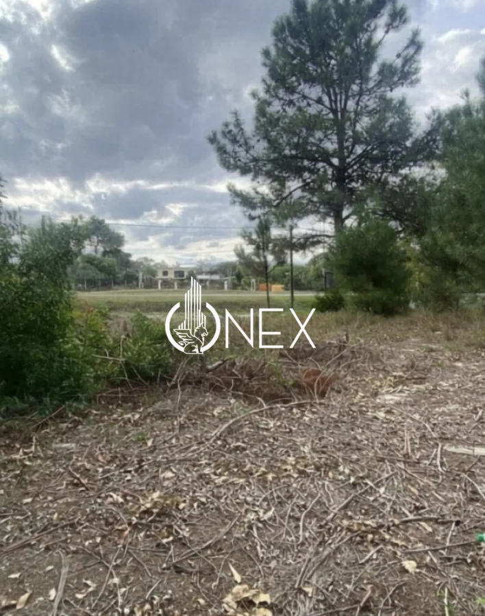 Terreno en El Pinar, propiedad 264421 -Imagen 3