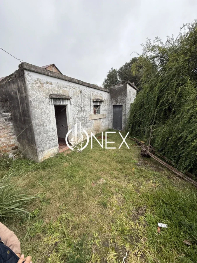 Terreno en Tacuarembó, propiedad 267003 -Imagen 6