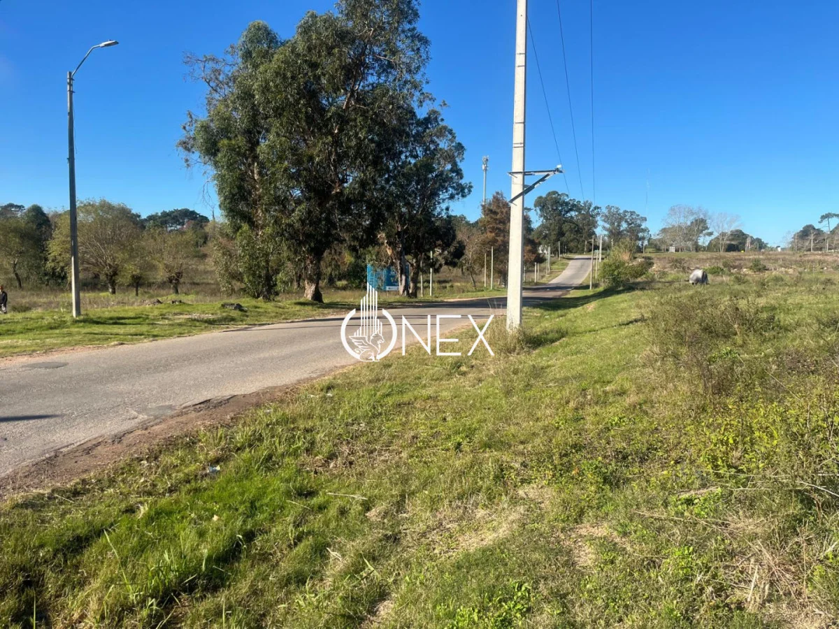 Terreno en Golf, propiedad 268269 -Imagen 5