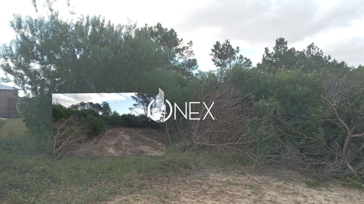 Terreno en Barra del Chuy, propiedad 269956 -Imagen 2