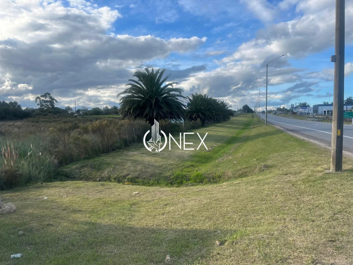 Terreno en Rocha, propiedad 270078 -Imagen 8