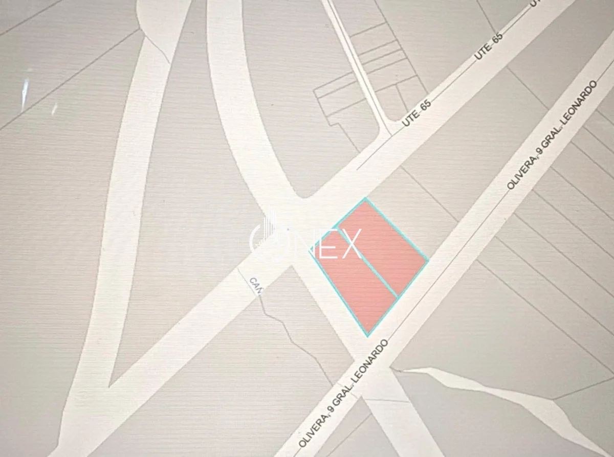 Terreno en Rocha, propiedad 270078 -Imagen 9