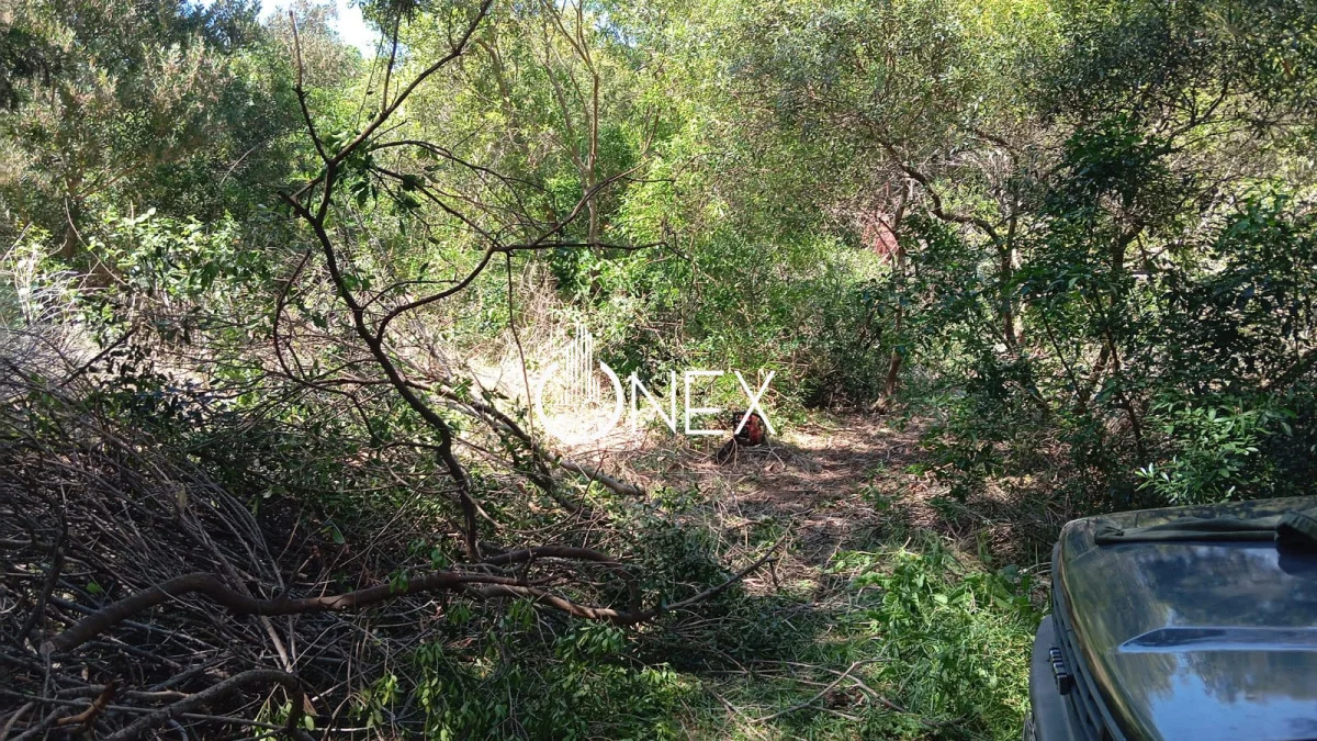 Terreno en Playa Hermosa , propiedad 271058 -Imagen 3