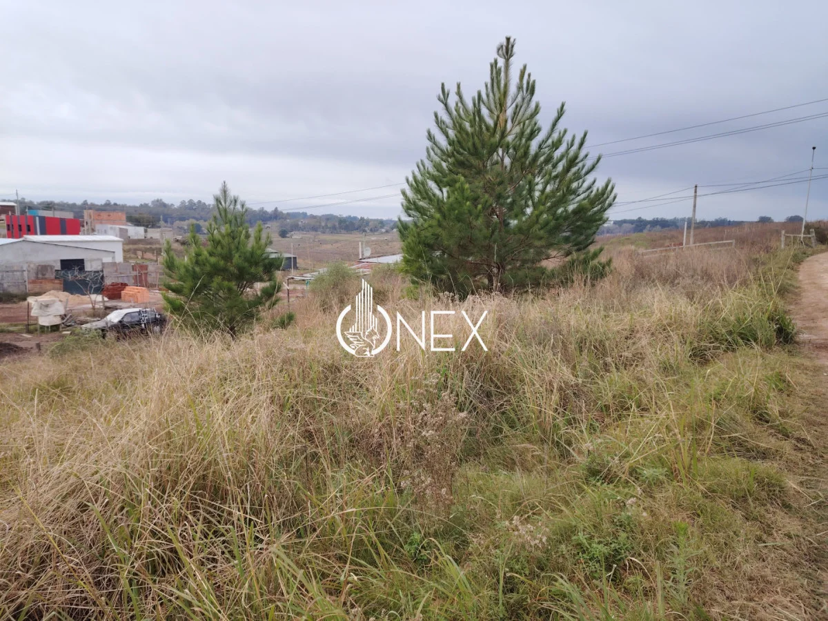 Terreno en Tacuarembó, propiedad 275304 -Imagen 4