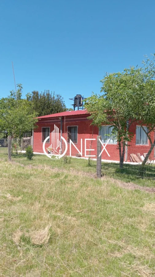 Chacra en San Jacinto, propiedad 275640 -Imagen 4