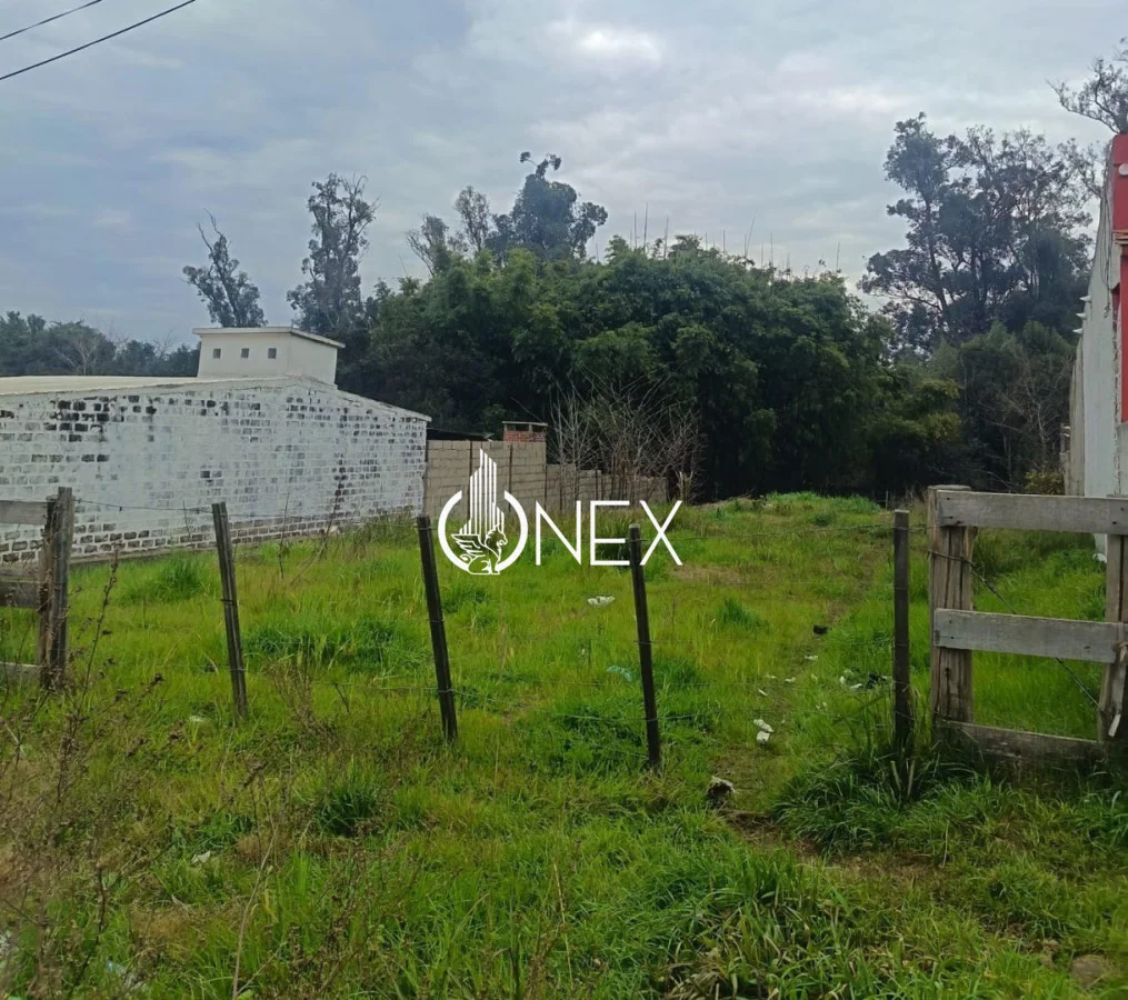 Terreno en Tacuarembó, propiedad 282162 -Imagen 4