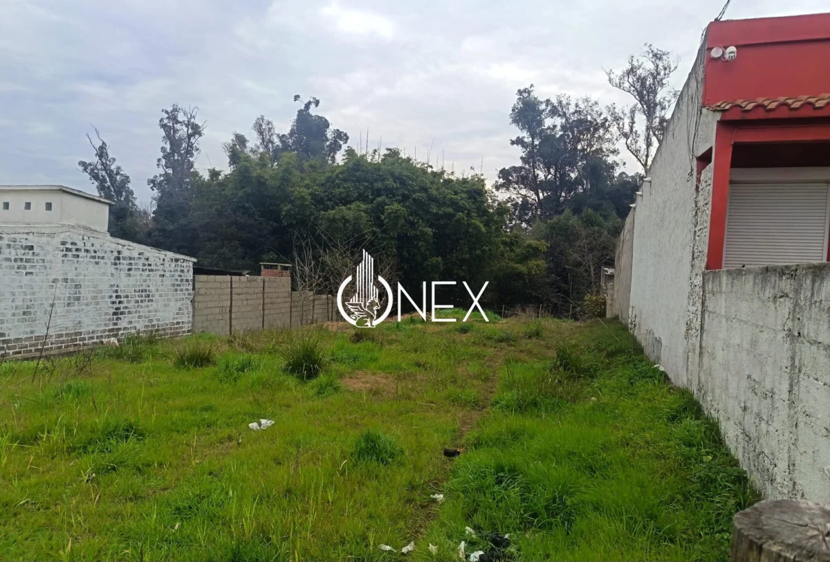 Terreno en Tacuarembó, propiedad 282162 -Imagen 5
