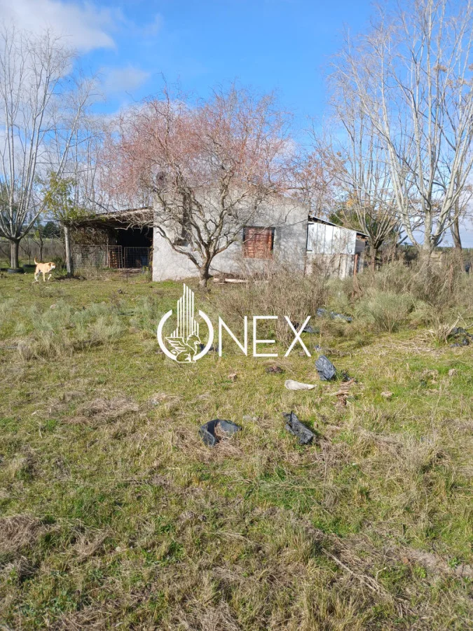 Chacra en Santa Rosa, propiedad 282818 -Imagen 14
