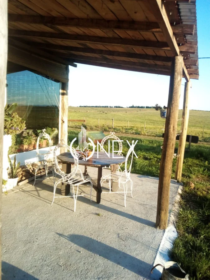Chacra en Cuchilla Alta, propiedad 285434 -Imagen 6