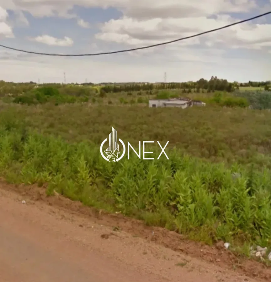 Chacra en Paso de la Arena, propiedad 288549 -Imagen 2