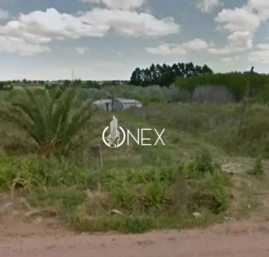 Chacra en Paso de la Arena, propiedad 288549 -Imagen 4