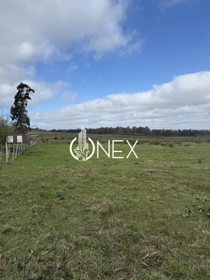 Terreno en Tacuarembó, propiedad 289442 -Imagen 4
