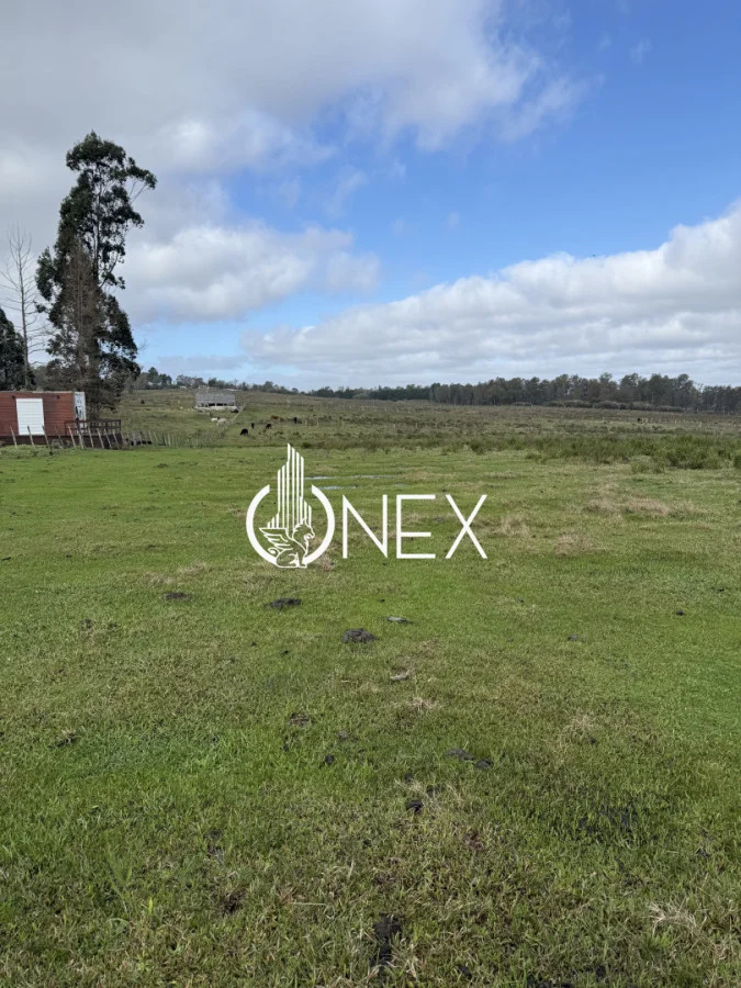 Terreno en Tacuarembó, propiedad 289442 -Imagen 5