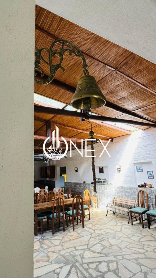 Chacra en Rocha, propiedad 291855 -Imagen 18