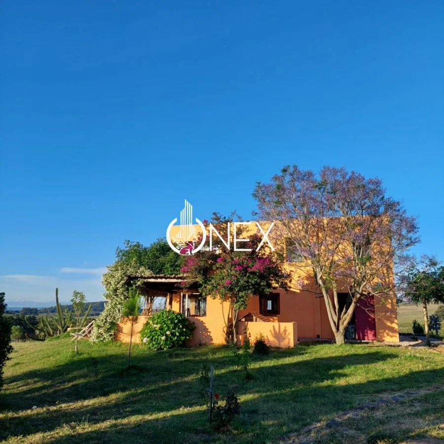Chacra en Laguna del Sauce, propiedad 295468 -Imagen 19