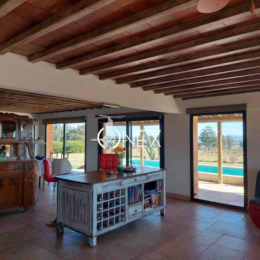 Chacra en Laguna del Sauce, propiedad 295468 -Imagen 6