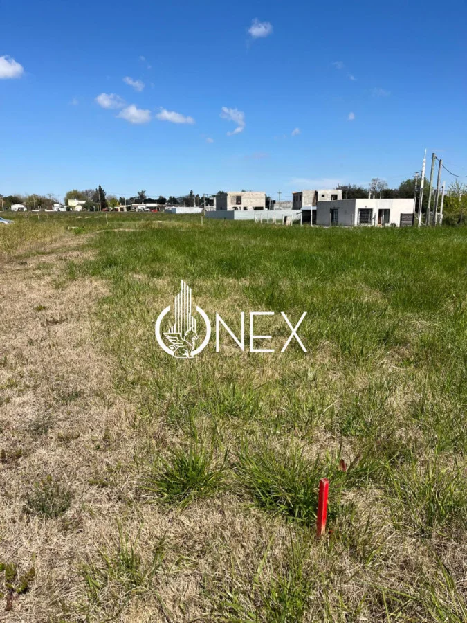 Terreno en Progreso, propiedad 295844 -Imagen 2