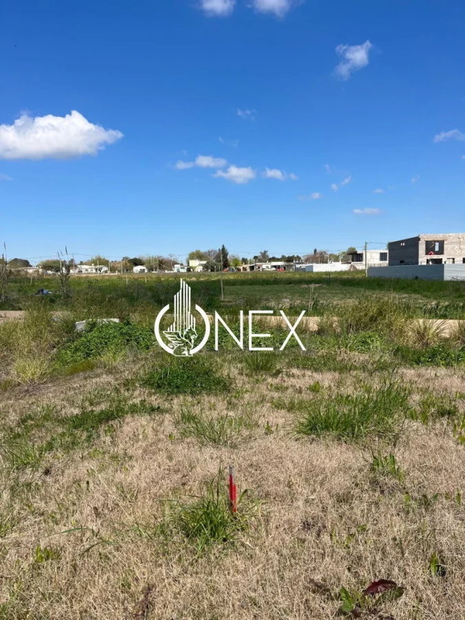 Terreno en Progreso, propiedad 295844 -Imagen 12
