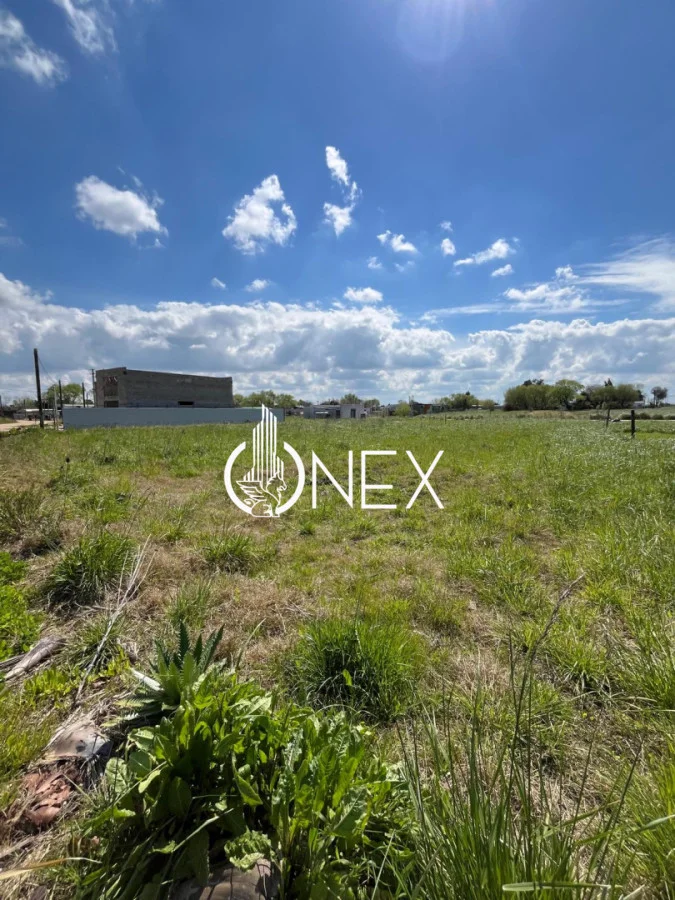 Terreno en Progreso, propiedad 295844 -Imagen 15