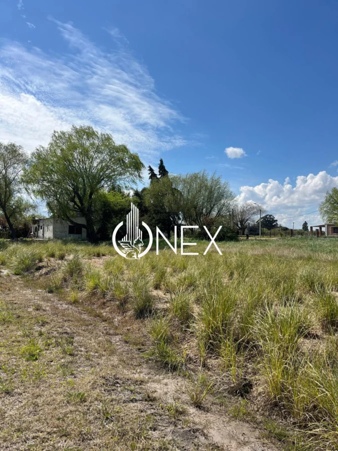 Terreno en Progreso, propiedad 295844 -Imagen 5