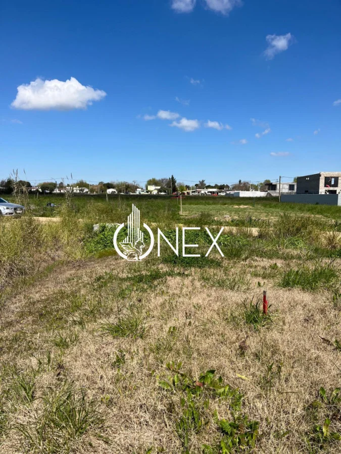 Terreno en Progreso, propiedad 295844 -Imagen 9