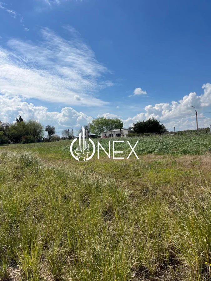 Terreno en Progreso, propiedad 295844 -Imagen 10