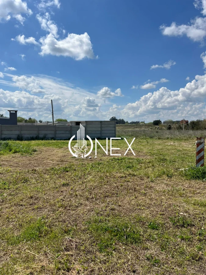 Terreno en Progreso, propiedad 295946 -Imagen 12