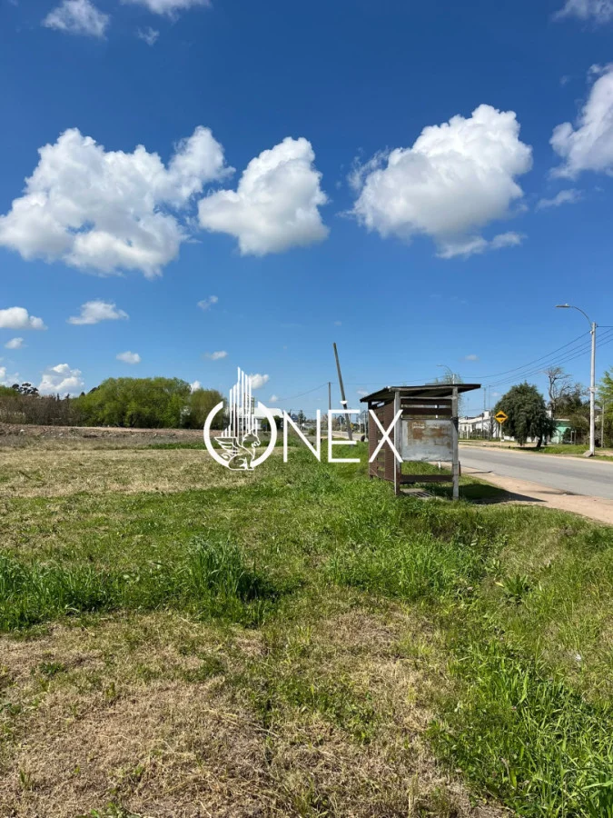 Terreno en Progreso, propiedad 295946 -Imagen 13